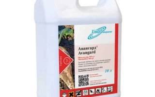 Авангард КЕ