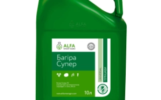 Багіра Супер