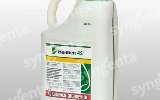 Банвел 4S 480 SL