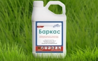 Біла канистра з етикеткою «Баркас» на зеленому фоні трави