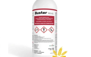 Бастер 100, КЕ, гербицид