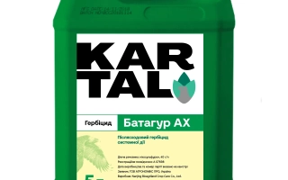 Батагур АХ, КС