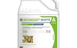 Бельведер Форте к.с.