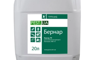 Бернар, РК (бентазон, 480 г/л)