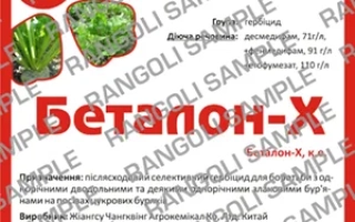 Беталон-Х