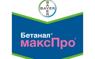 Бетанал Макс Про 209 ОD