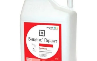 Бицепс Гарант, КЕ, гербицид