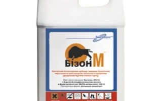 Бізон М