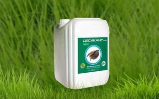 Біла канистра з етикеткою BOMBER на фоні зеленої трави. - Бомбер, РК, (Дикват дибромід, 300 г/л)