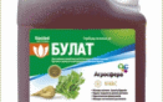 Канистра с гербицидом Булат, зелёная крышка и этикетка с изображением растений