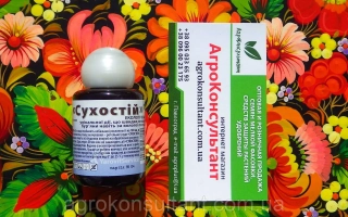 Бум Ефект, РК