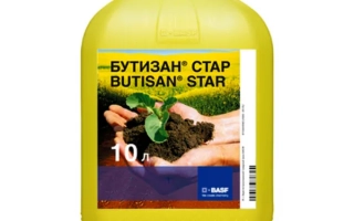 Бутизан Стар к.с.