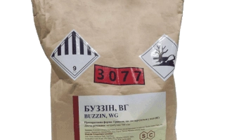 Буззин, ВГ (Buzzin, WG)