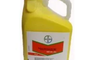 Челендж 600 SC