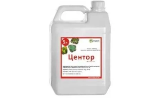 Центор