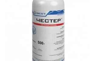 Честер, ВГ (нікосульфурон, 750 г/кг)