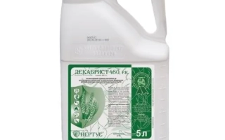Декабрист 480, РК, гербіцид