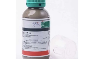 Дерби 175, КС