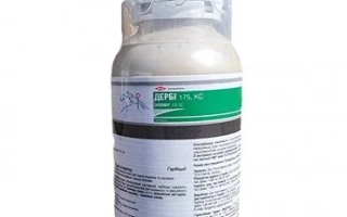 Дерби 175 с.к.