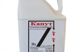Біла канистра з етикеткою «Канут» та написом «Гербицид» - ДЕСИКАШ, РК