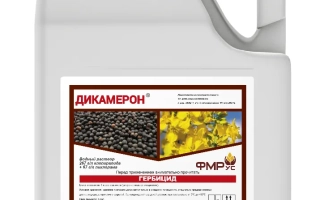 Дикамерон Гранд