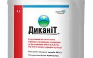 ДИКАНИТ, РК