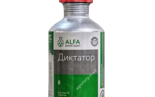 Dictator, TB, fumigant