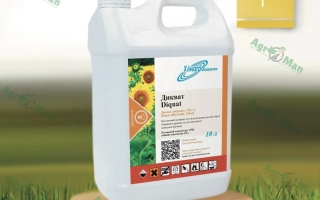 White jug with label Diquat on grass background - Diquat, SL