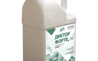 Директор, в.р.