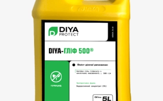 DIYA-Глиф 500