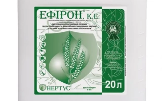 Ефирон