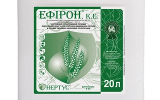 Ефирон, КЕ (2,4-дихлорфеноксиоцтовои кислоти 2-етилгексиловий еф