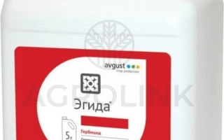 Egida, CS, herbicide