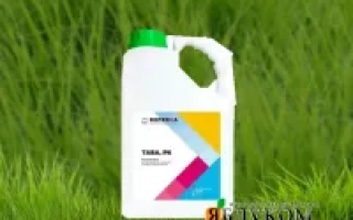 Егрюамор Форте 200 SL