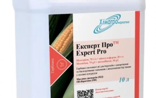 Експерт Про, МД