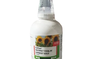 Bottle of herbicide Express Gold 75 WG with label and sunflower imagery