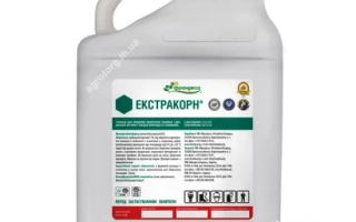 Екстракорн, СЕ