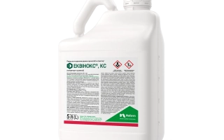 ЕКВИНОКС, КС (EQUINOX®, SC)