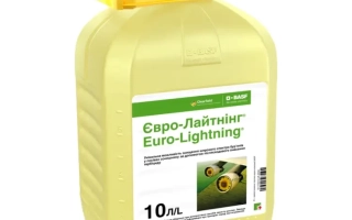 Euro-Lightning®