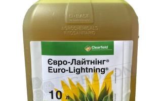 Евро-лайтнинг, в.р.