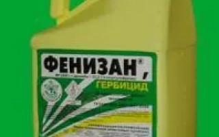 Желтая канистра с этикеткой ФЕНИЗАН для гербицидов