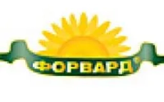 Логотип бренда Форвард с изображением солнца и зелёной ленты