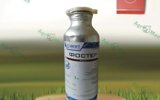 Каністра гербіциду Фостер на дерев'яній підставці на фоні зеленої трави