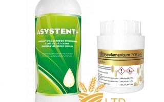 Фундаментум 700