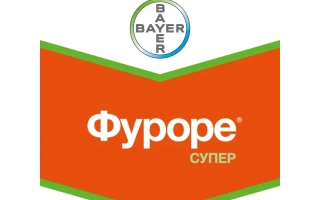 Логотип Bayer с названием продукта Фуроре Супер на оранжевом фоне