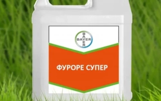 Фуроре Супер 69 ЕW