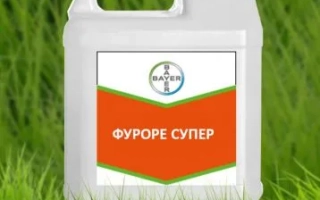 Фуроре Супер ЕW, ЕВ