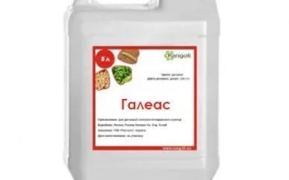 Біла канистра з етикеткою Галеас - Галеас, РК