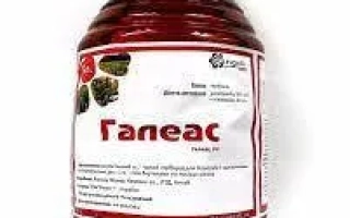 Галеас, в.р., (Клопіралід,267 г/л+піклорам,67г/л)