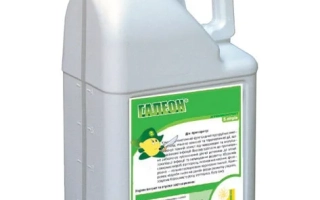 Galeon w.p., (Cloquinalid, 267g/l + Picloram, 67g/l)